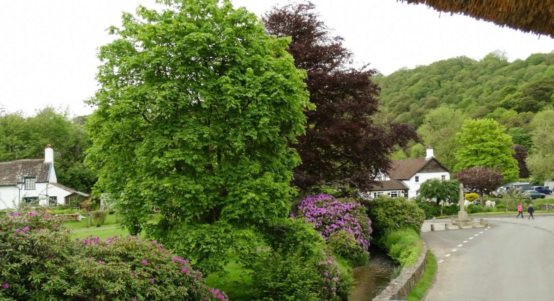 Hotel The Royal Oak Exmoor Winsford  Exterior foto